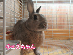 150915u.gif