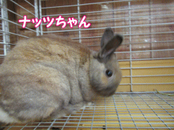 150915w.gif