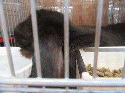 150917b.gif
