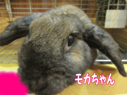 150917k.gif