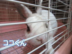 150917q.gif