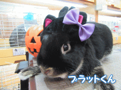 150918a.gif