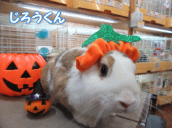 150918c.gif