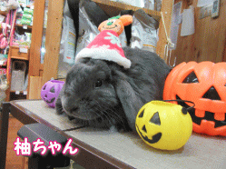 150918i.gif