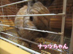 150918q.gif