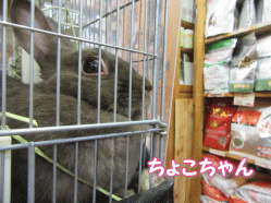 150918w.gif