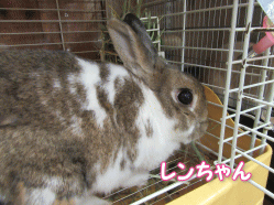 150918z3.gif