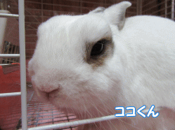 150918z9.gif