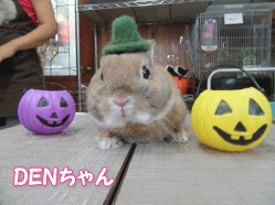 150919g.gif