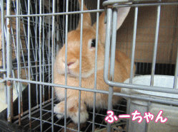 150919k.gif