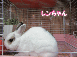 150919w.gif