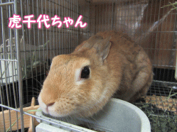 150919z13.gif