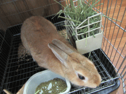 150919z14.gif