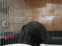 150919z4.gif