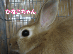 150919z5.gif