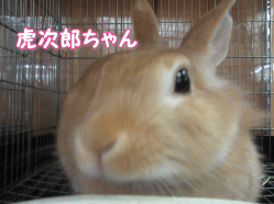 150919z7.gif