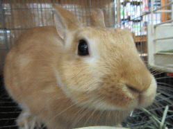 150919z8.gif