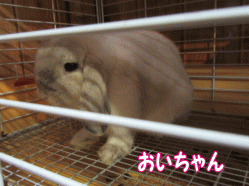 1509202a.gif