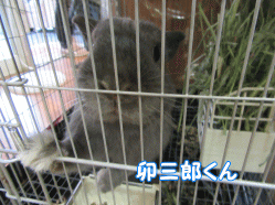 150920w.gif