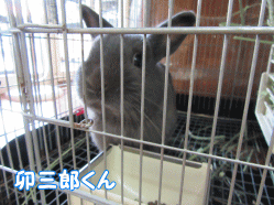 150921s.gif
