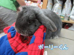 150922e.gif