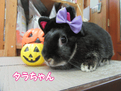150922f.gif