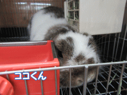 150922k.gif