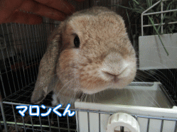 150922l.gif