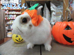 150923a.gif