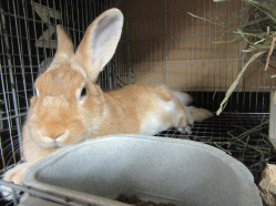 150923f.gif