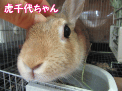 150923k.gif