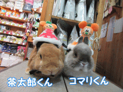150924c.gif