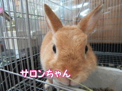 150924i.gif