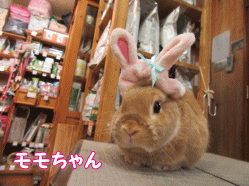 150925a.gif