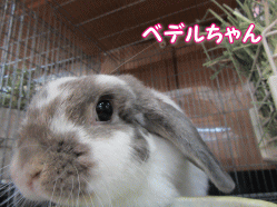 150925e.gif