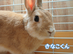 150925o.gif