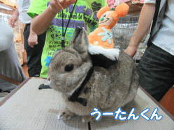 150926a.gif