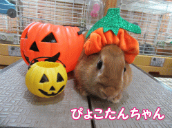 150926f.gif