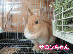 150926h.gif