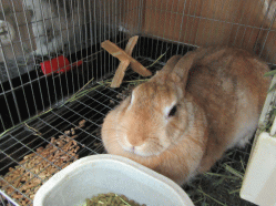 150926o.gif