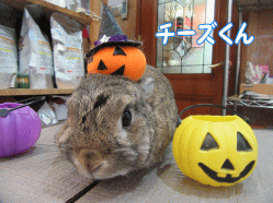 150927a.gif