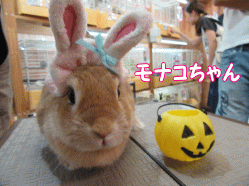 150927k.gif