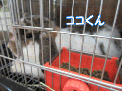 150927s.gif