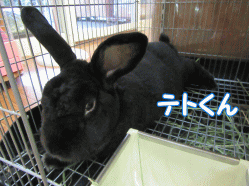 150927w.gif