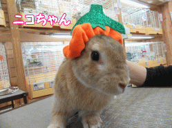 150929a.gif