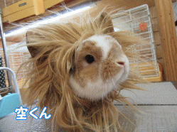150929e.gif