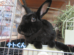 150929k.gif