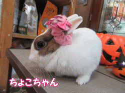 151002a.gif