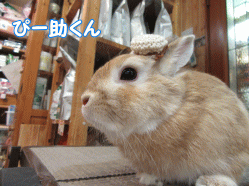 151002e.gif