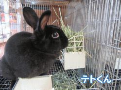 151002i.gif